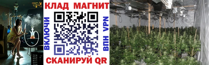 Магазин наркотиков Бор Каннабис  ОМГ ОМГ ONION  ГАШИШ 