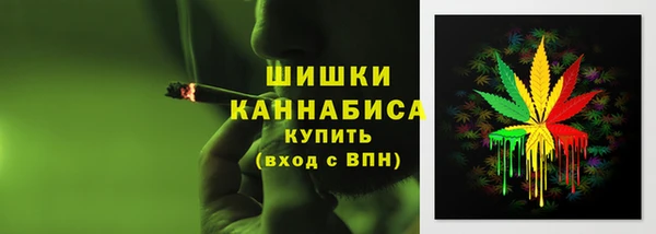 шишки Баксан