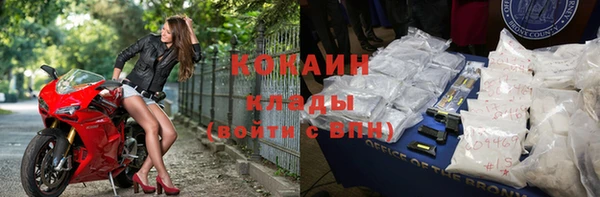 шишки Баксан