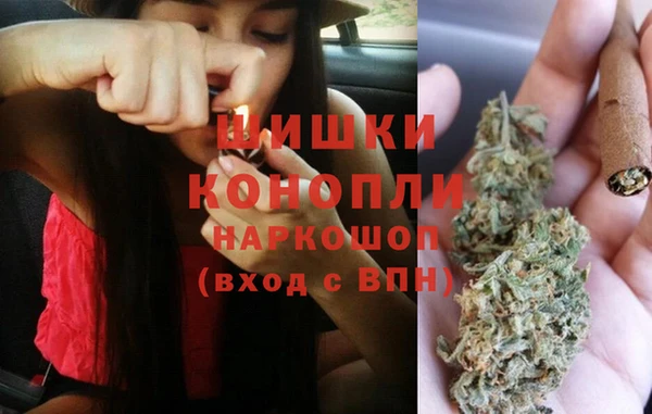 шишки Баксан